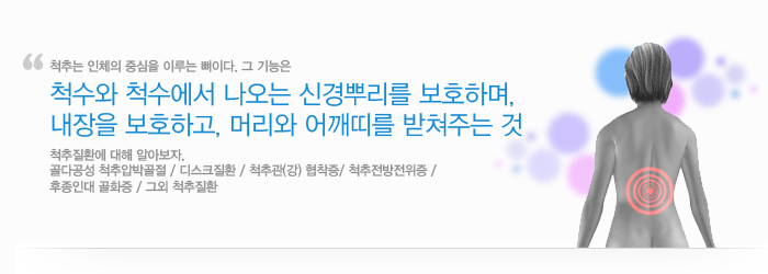 척추질환
척추는 인체의 중심을 이루는 뼈이다. 그 기능은 척수와 척수에서 나오는 신경뿌리를 보호하며, 내장을 보호하고, 머리와 어깨띠를 받쳐주는 것이다.
척추는 유연성 있는 축이다. 관절로 연결된 여러 척추로 구성되어, 강직성을 유지하면서도 기둥의 모양이 쉽게 바뀔 수 있게 되어 있다.